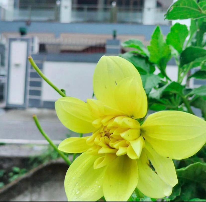 Maldevta Retreat Home Dehradun Zewnętrze zdjęcie